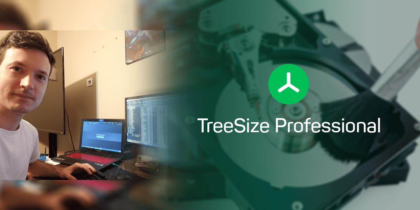 TreeSize Professional 9.0.1.1830 download the last version for apple